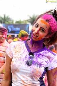 Bang Bang Holi Fest 2015