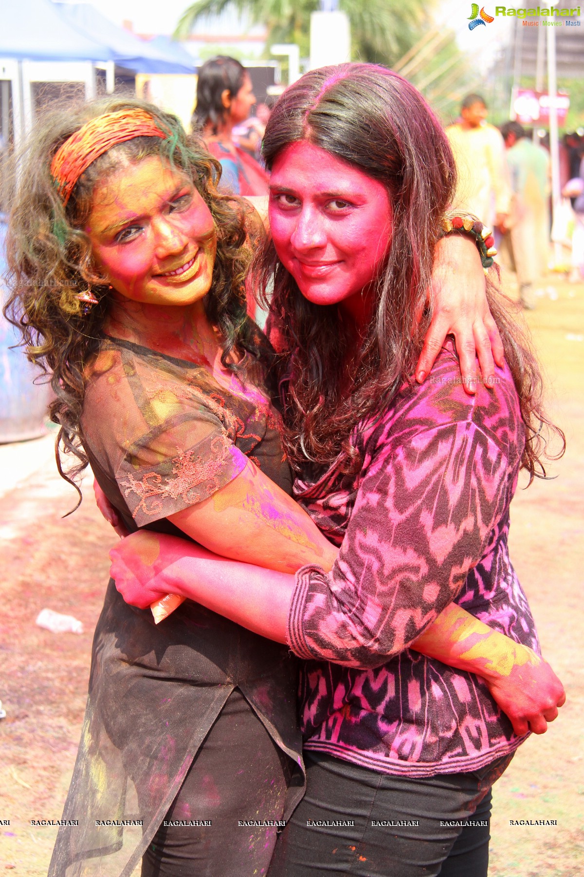 Bang Bang Holi Fest 2015 at Novotel, Hyderabad