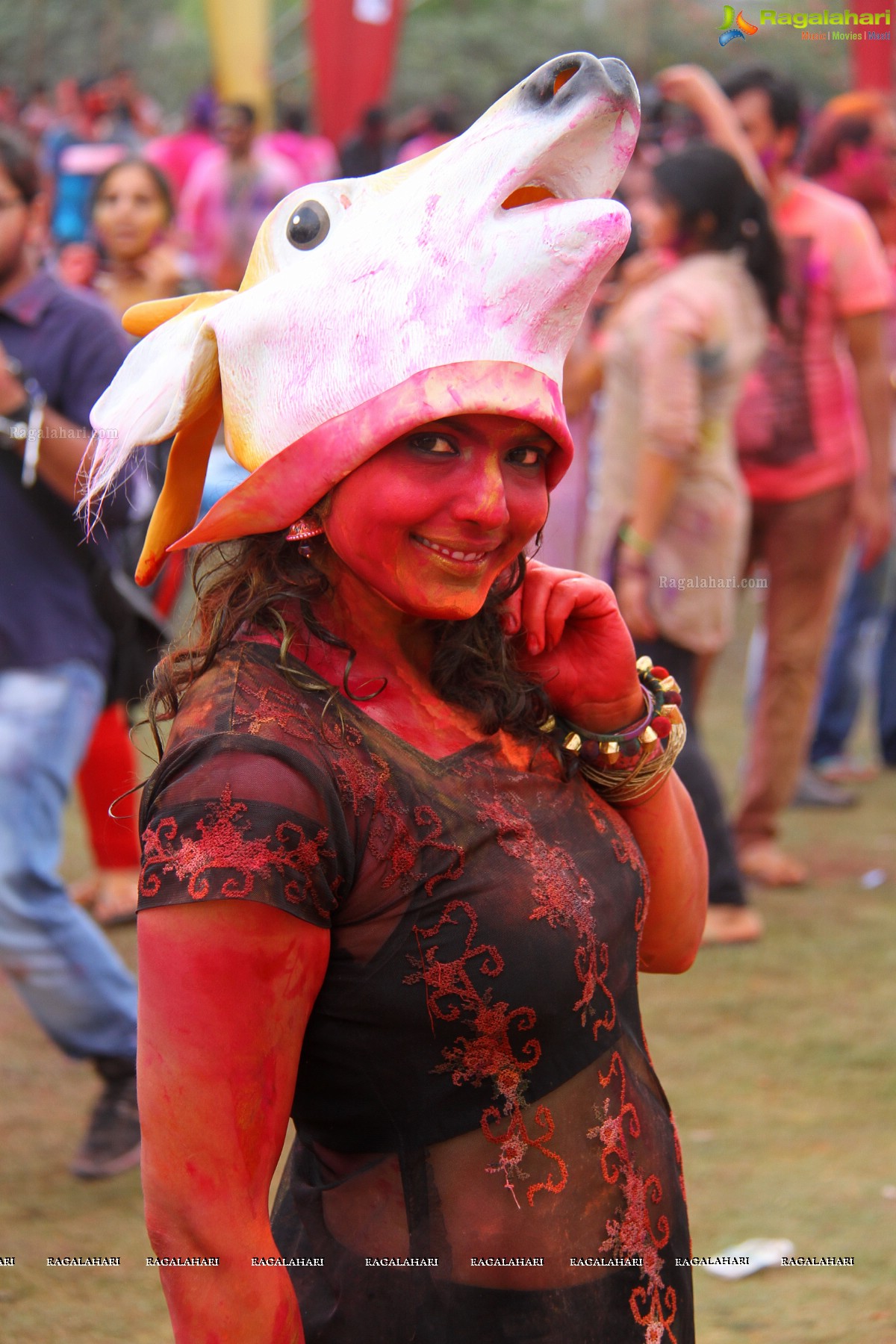 Bang Bang Holi Fest 2015 at Novotel, Hyderabad