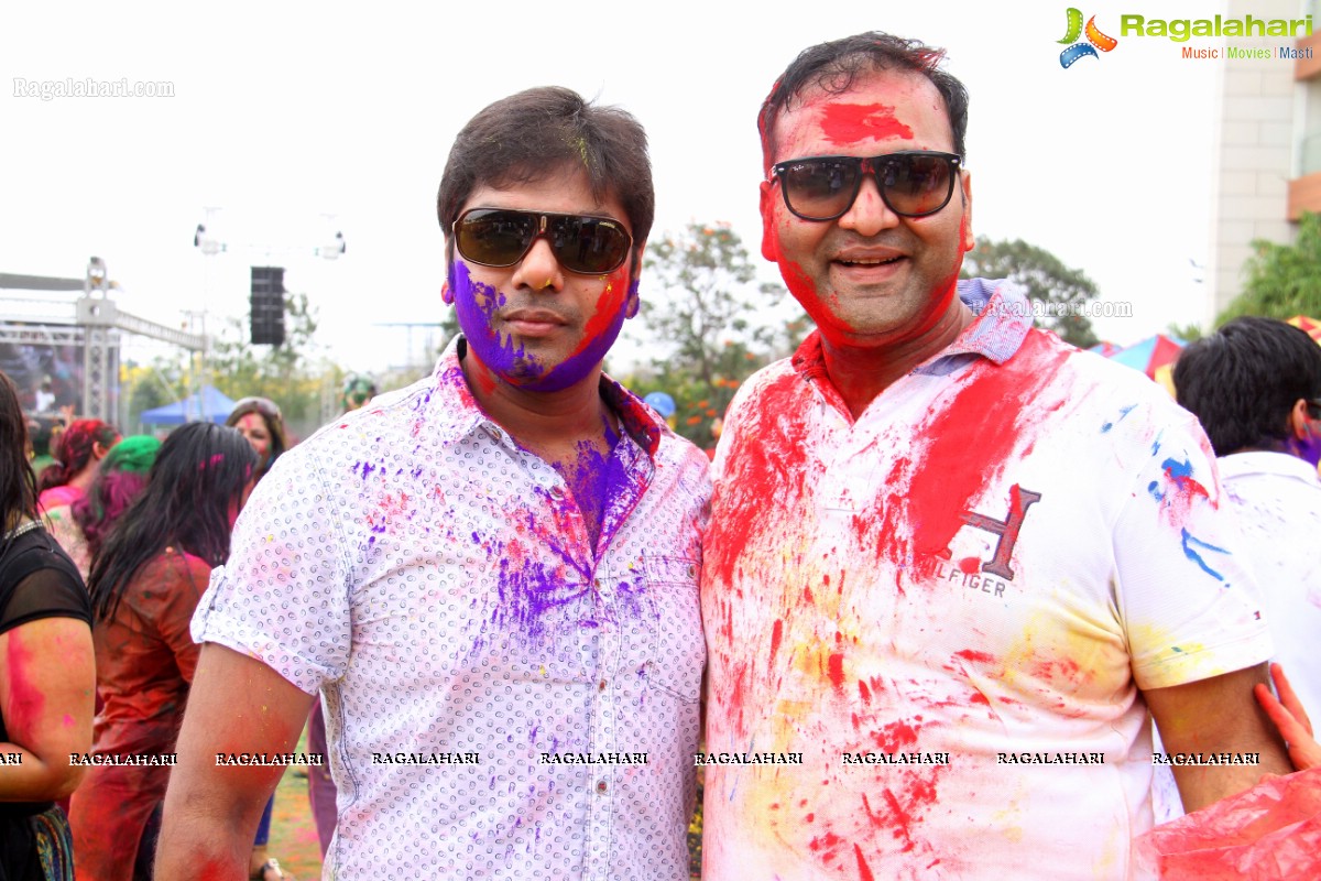 Bang Bang Holi Fest 2015 at Novotel, Hyderabad