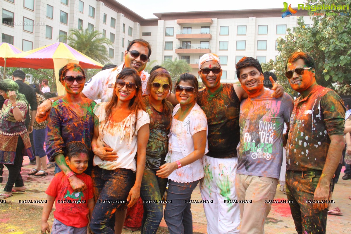 Bang Bang Holi Fest 2015 at Novotel, Hyderabad