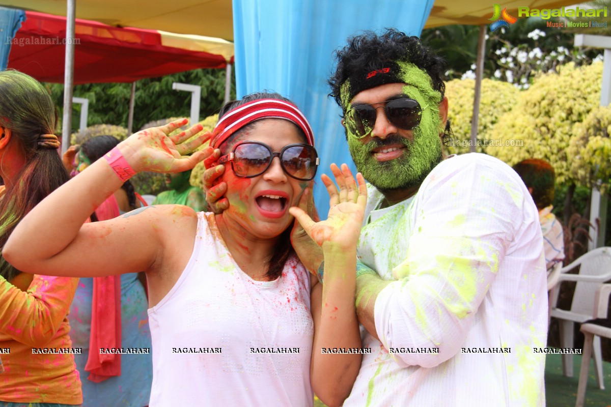 Bang Bang Holi Fest 2015 at Novotel, Hyderabad