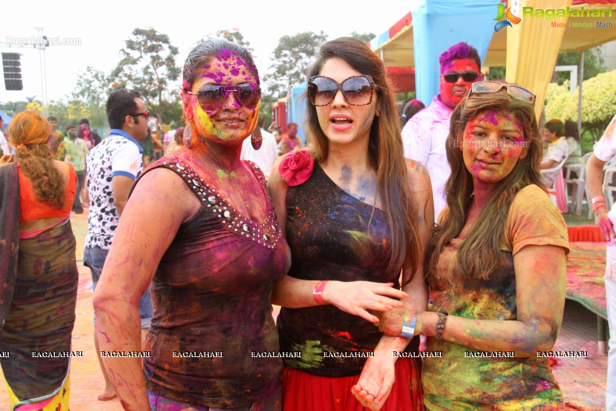 Bang Bang Holi Fest 2015 at Novotel, Hyderabad