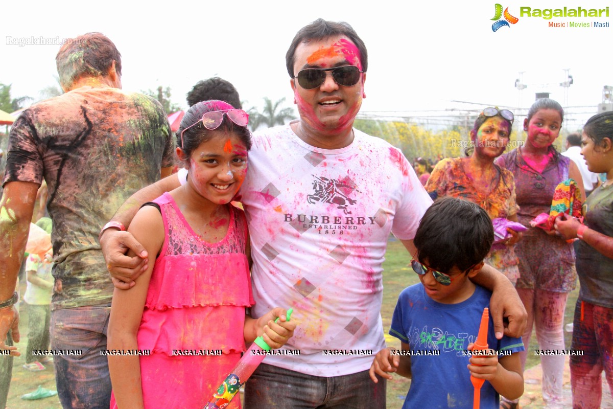 Bang Bang Holi Fest 2015 at Novotel, Hyderabad