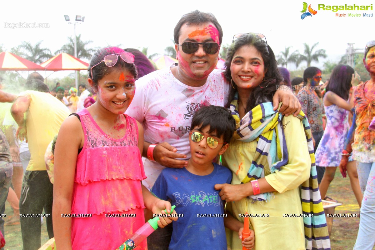 Bang Bang Holi Fest 2015 at Novotel, Hyderabad