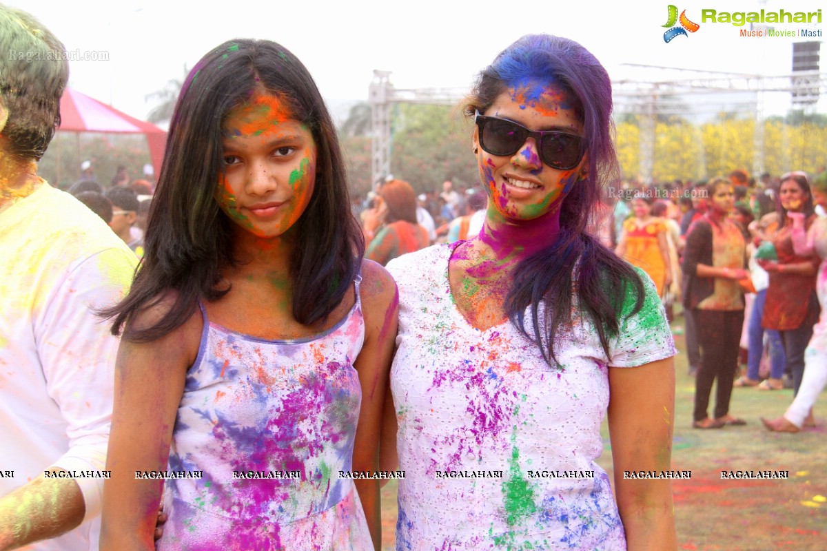 Bang Bang Holi Fest 2015 at Novotel, Hyderabad