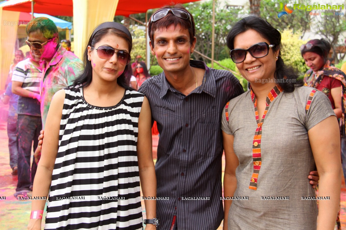 Bang Bang Holi Fest 2015 at Novotel, Hyderabad