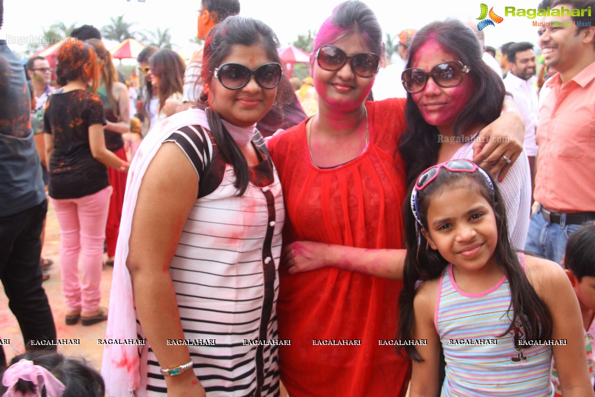 Bang Bang Holi Fest 2015 at Novotel, Hyderabad