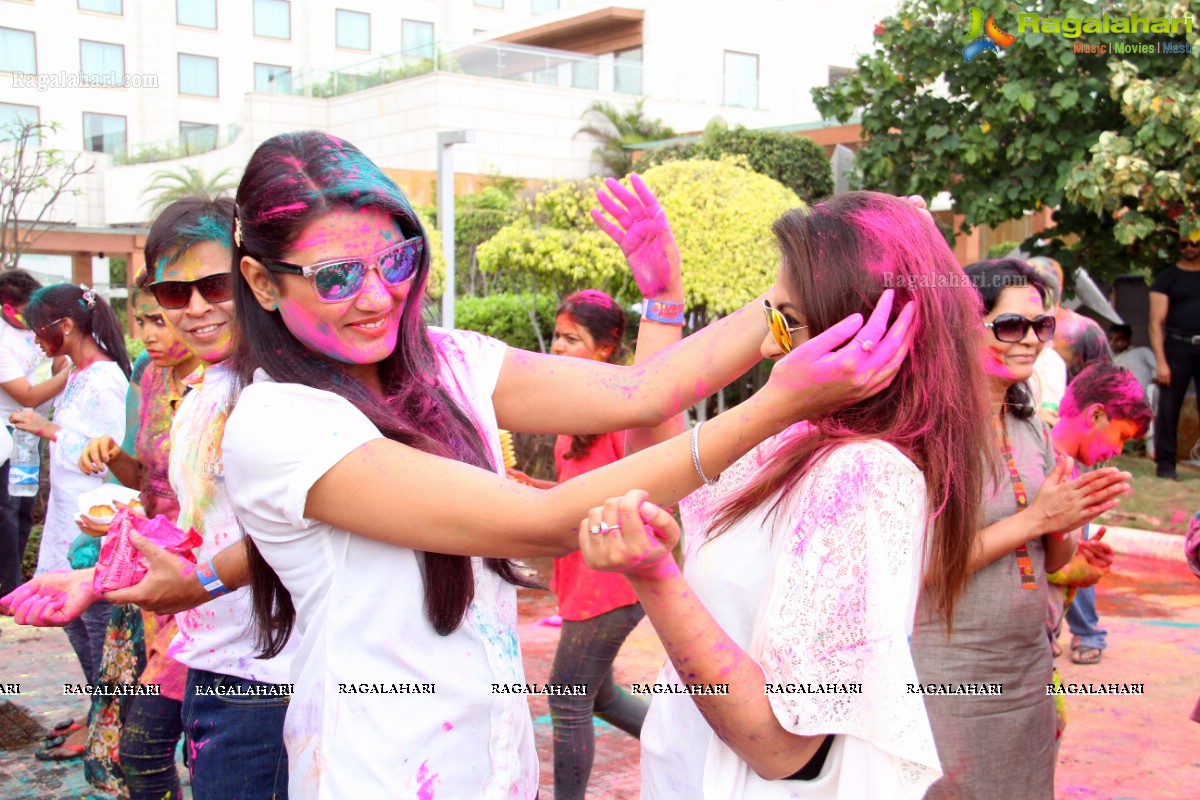 Bang Bang Holi Fest 2015 at Novotel, Hyderabad