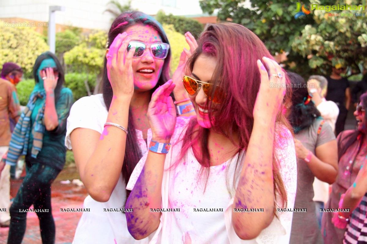 Bang Bang Holi Fest 2015 at Novotel, Hyderabad