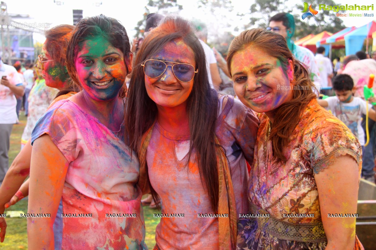 Bang Bang Holi Fest 2015 at Novotel, Hyderabad