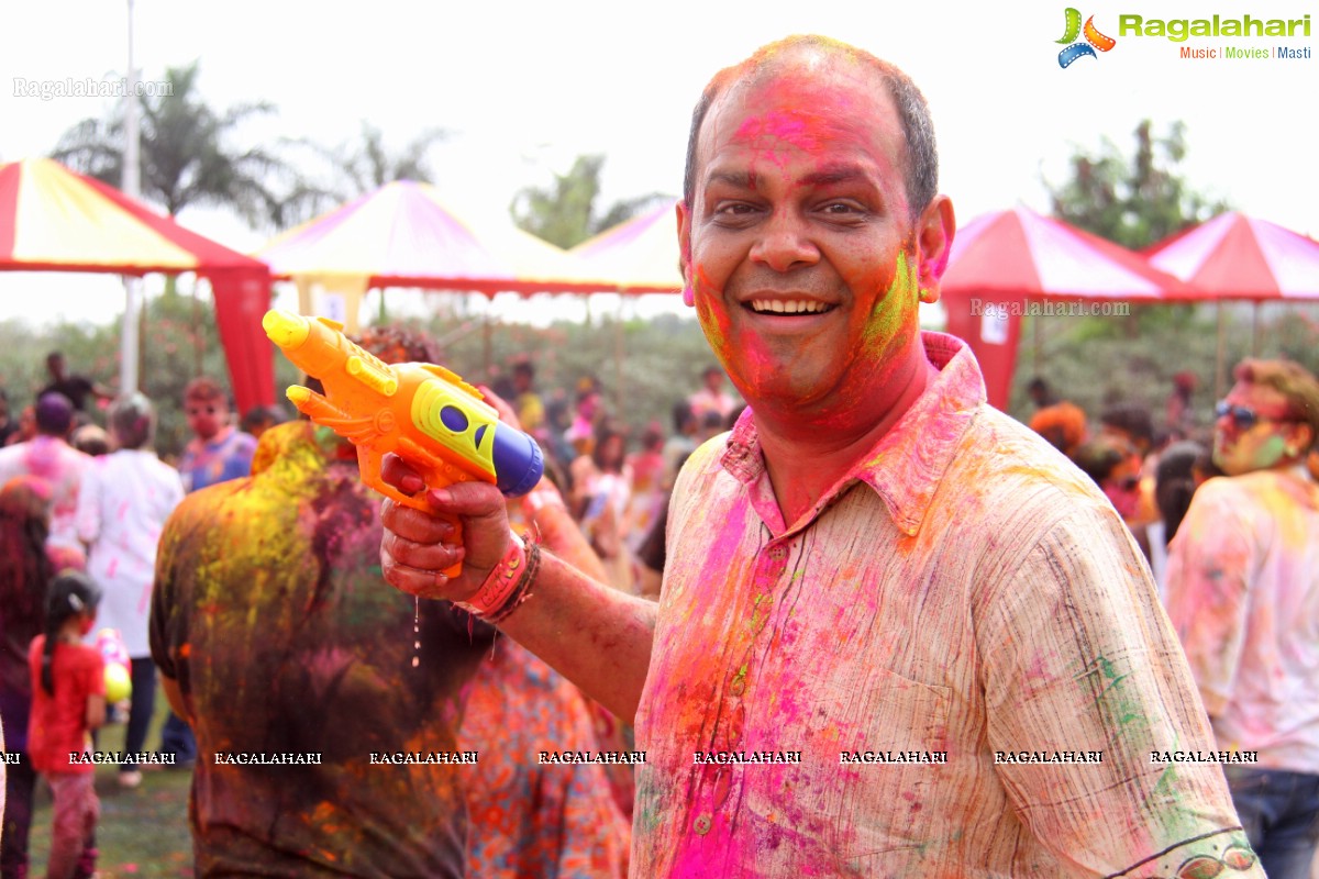 Bang Bang Holi Fest 2015 at Novotel, Hyderabad