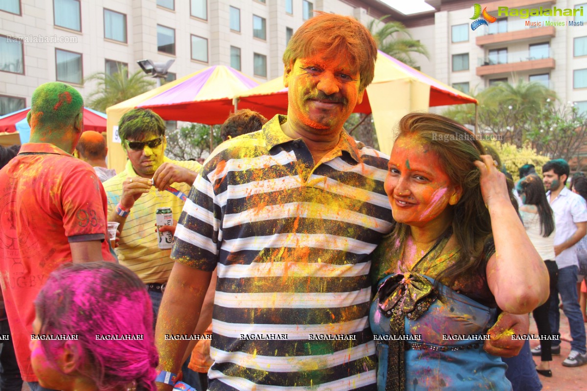 Bang Bang Holi Fest 2015 at Novotel, Hyderabad