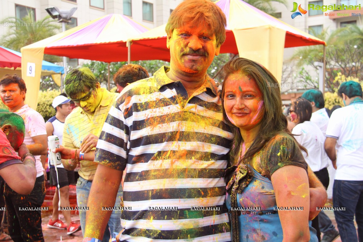 Bang Bang Holi Fest 2015 at Novotel, Hyderabad