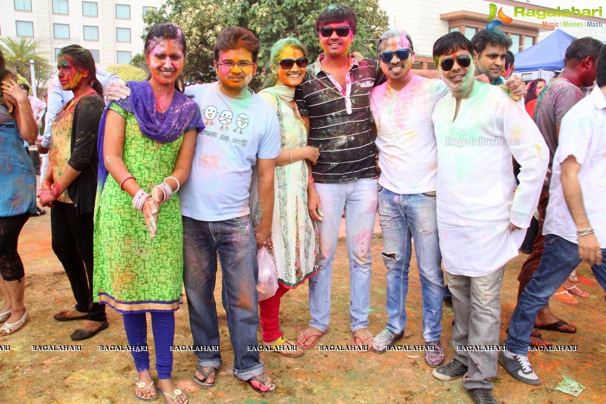 Bang Bang Holi Fest 2015 at Novotel, Hyderabad