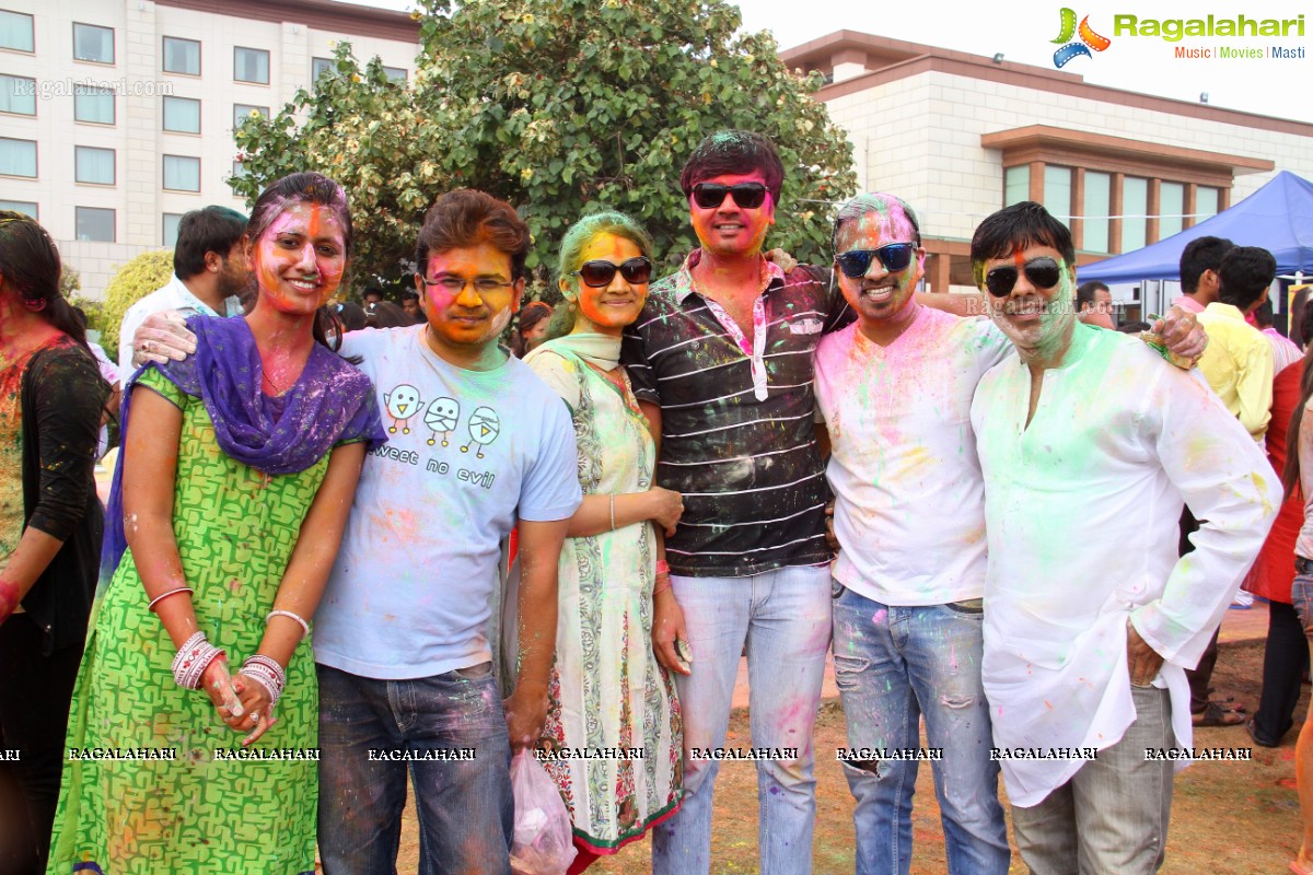 Bang Bang Holi Fest 2015 at Novotel, Hyderabad