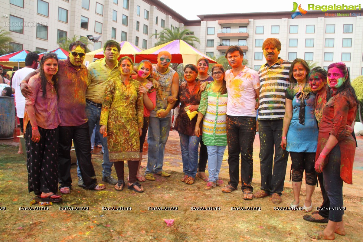 Bang Bang Holi Fest 2015 at Novotel, Hyderabad