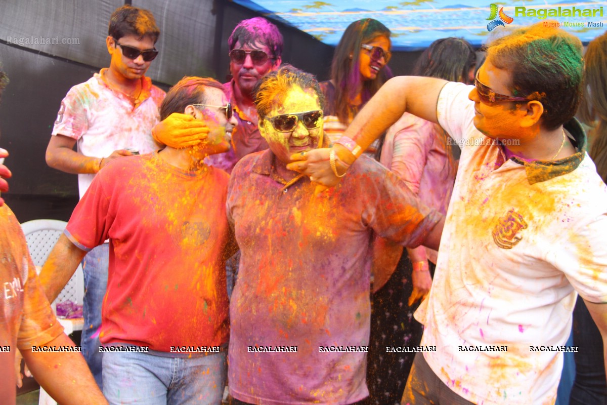 Bang Bang Holi Fest 2015 at Novotel, Hyderabad