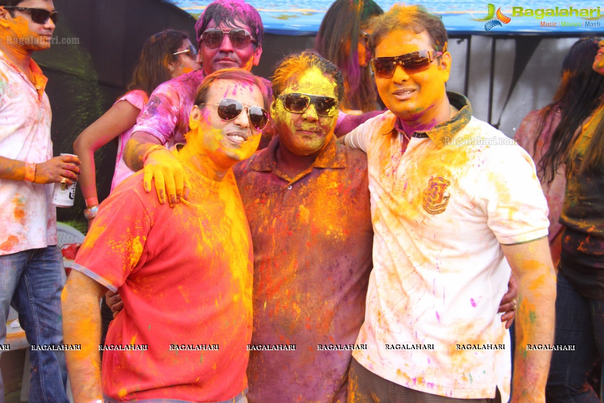 Bang Bang Holi Fest 2015 at Novotel, Hyderabad