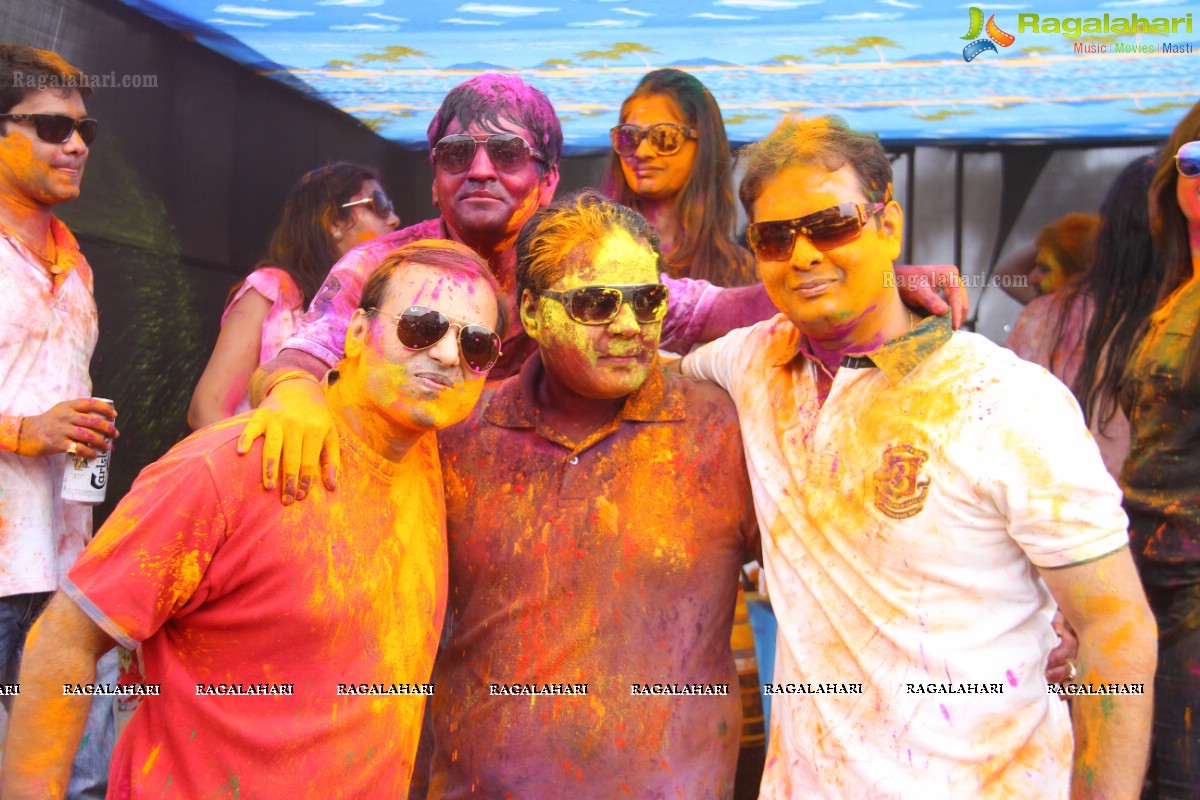 Bang Bang Holi Fest 2015 at Novotel, Hyderabad