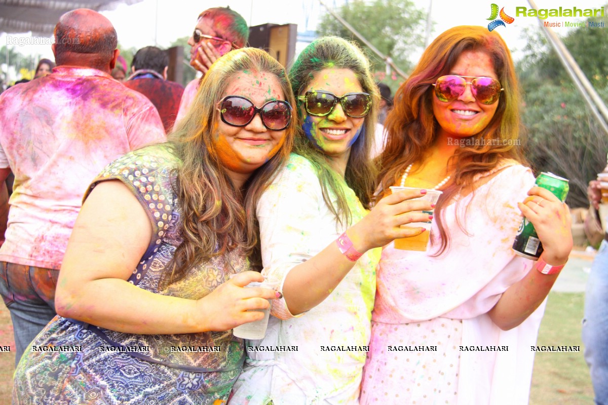 Bang Bang Holi Fest 2015 at Novotel, Hyderabad