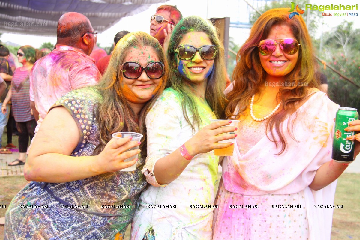 Bang Bang Holi Fest 2015 at Novotel, Hyderabad