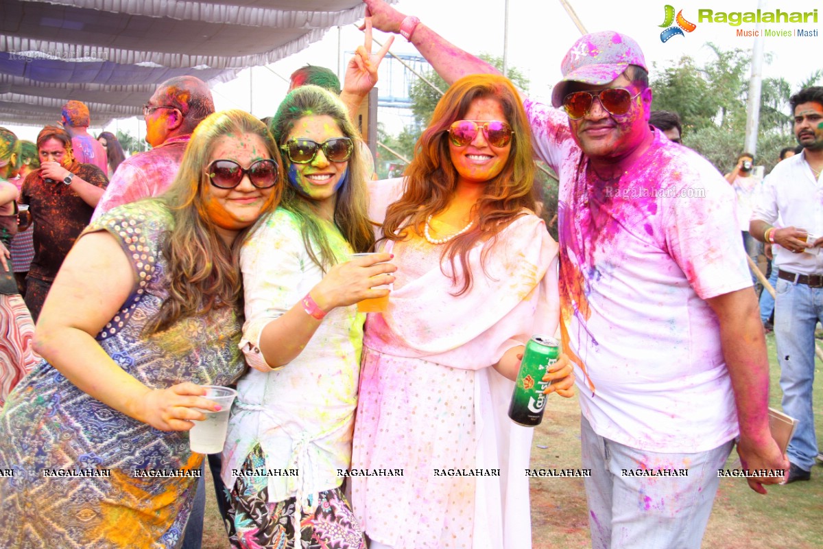 Bang Bang Holi Fest 2015 at Novotel, Hyderabad