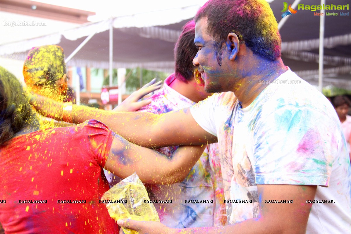 Bang Bang Holi Fest 2015 at Novotel, Hyderabad