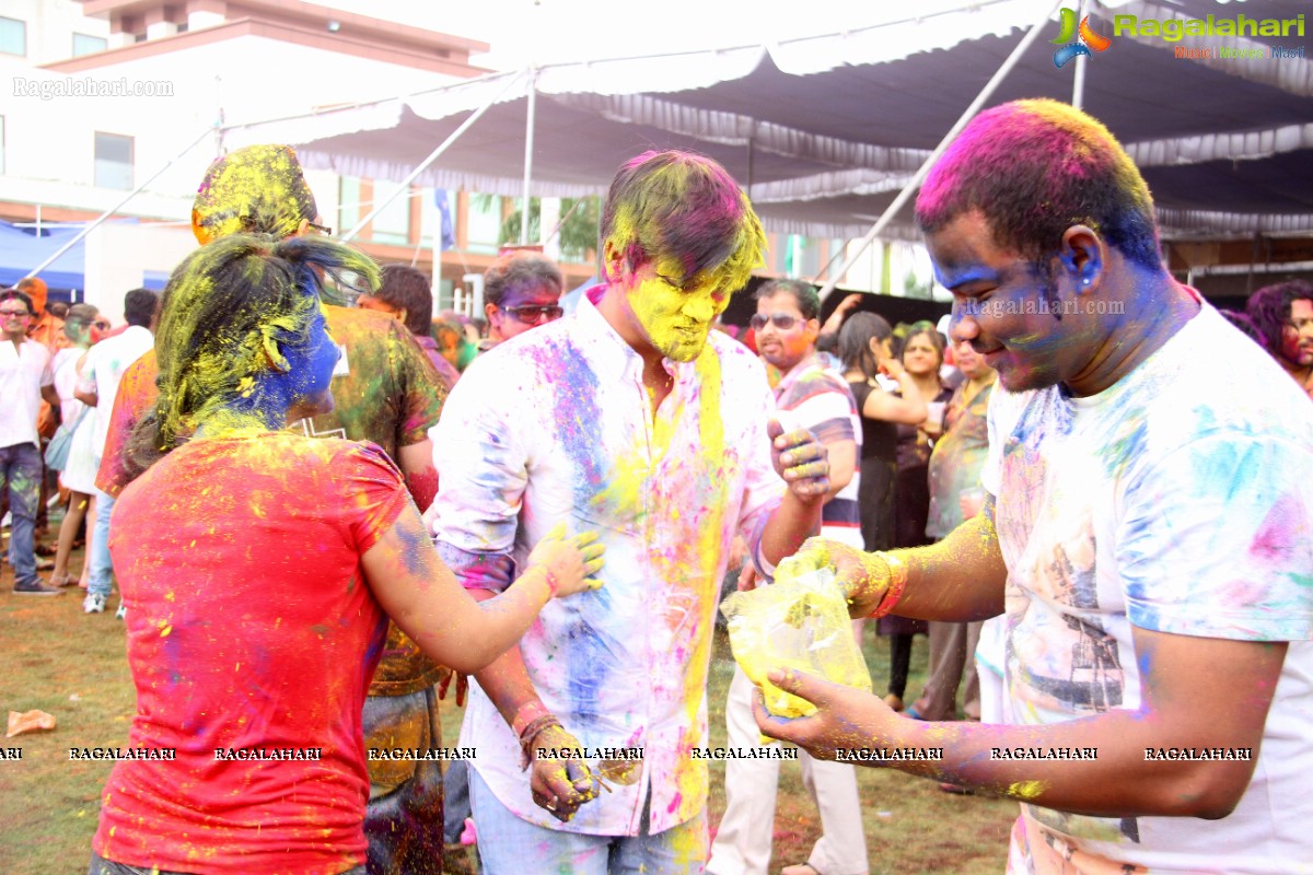 Bang Bang Holi Fest 2015 at Novotel, Hyderabad