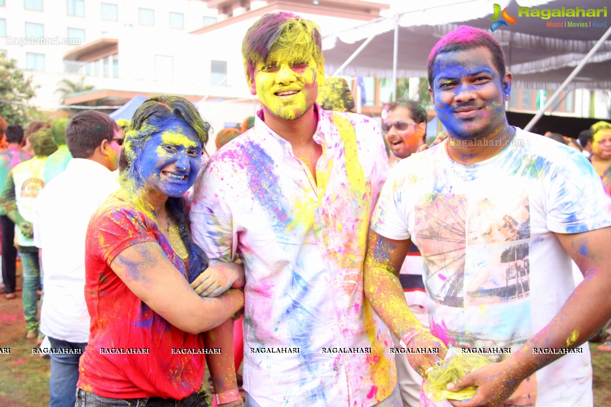 Bang Bang Holi Fest 2015 at Novotel, Hyderabad