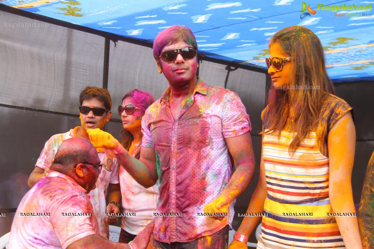 Bang Bang Holi Fest 2015 at Novotel, Hyderabad