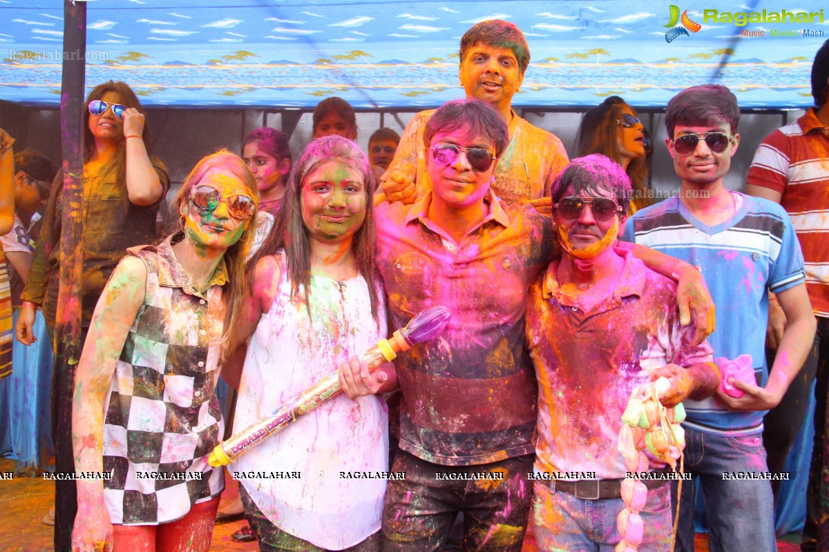 Bang Bang Holi Fest 2015 at Novotel, Hyderabad