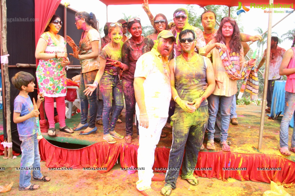 Bang Bang Holi Fest 2015 at Novotel, Hyderabad