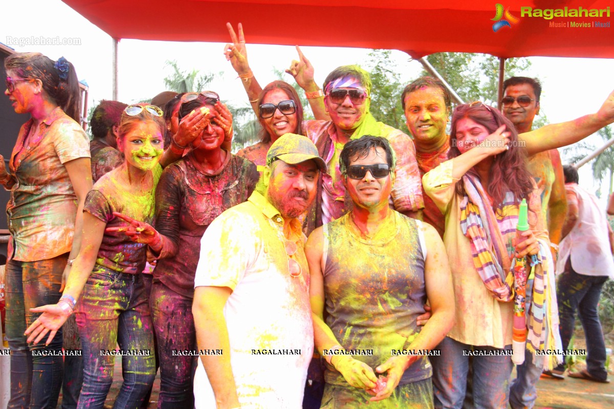 Bang Bang Holi Fest 2015 at Novotel, Hyderabad