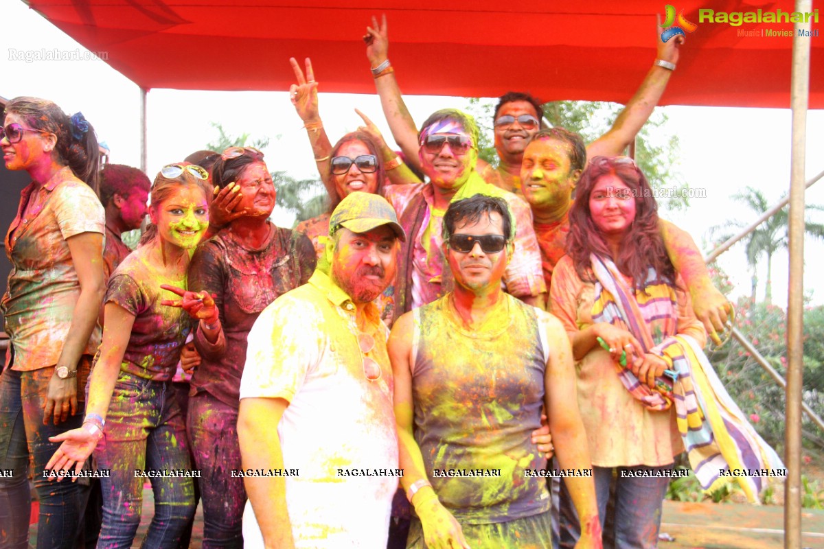 Bang Bang Holi Fest 2015 at Novotel, Hyderabad