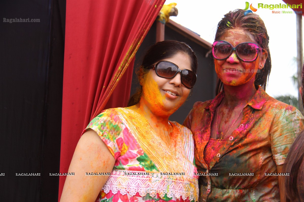 Bang Bang Holi Fest 2015 at Novotel, Hyderabad