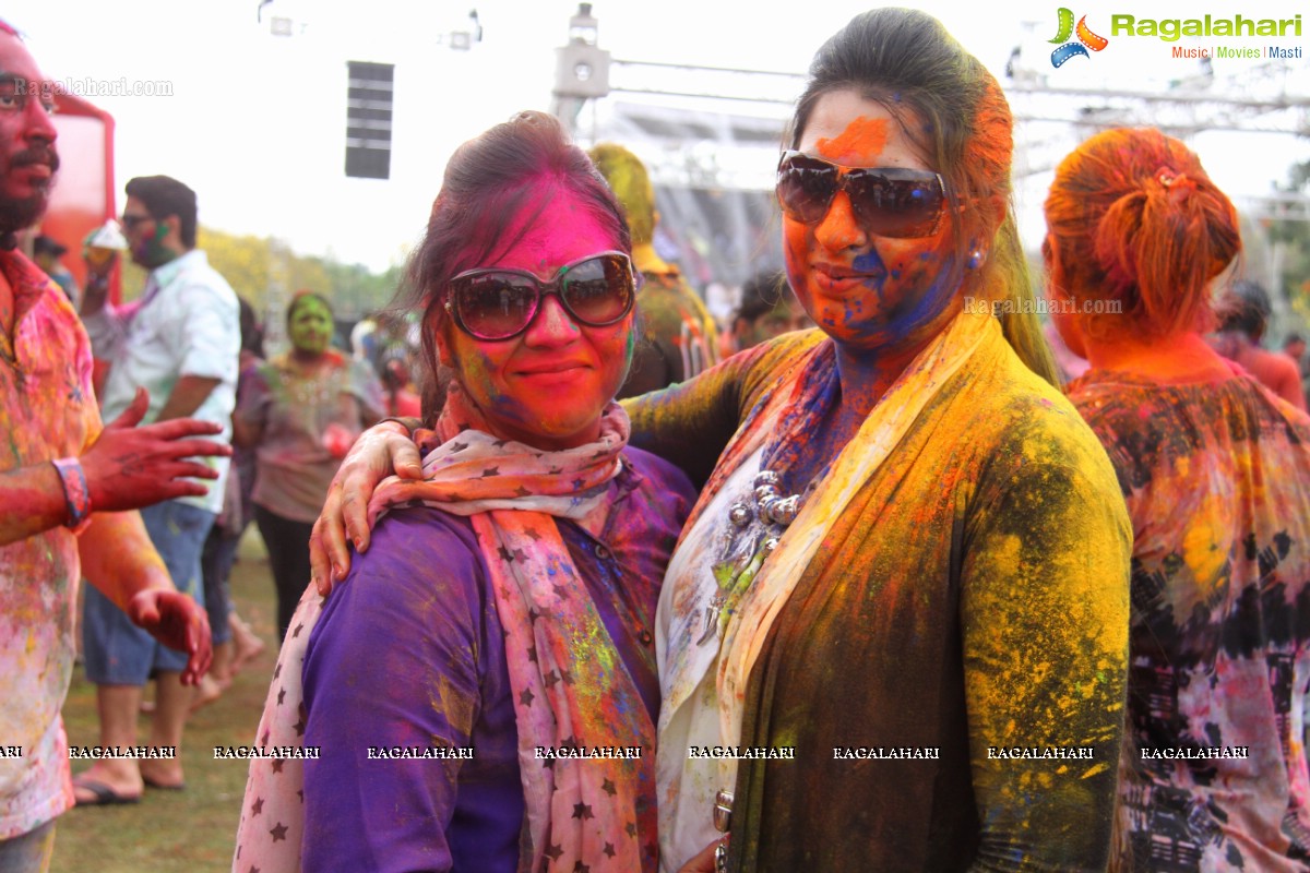 Bang Bang Holi Fest 2015 at Novotel, Hyderabad