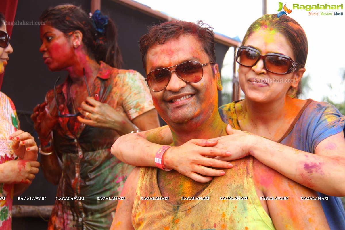 Bang Bang Holi Fest 2015 at Novotel, Hyderabad