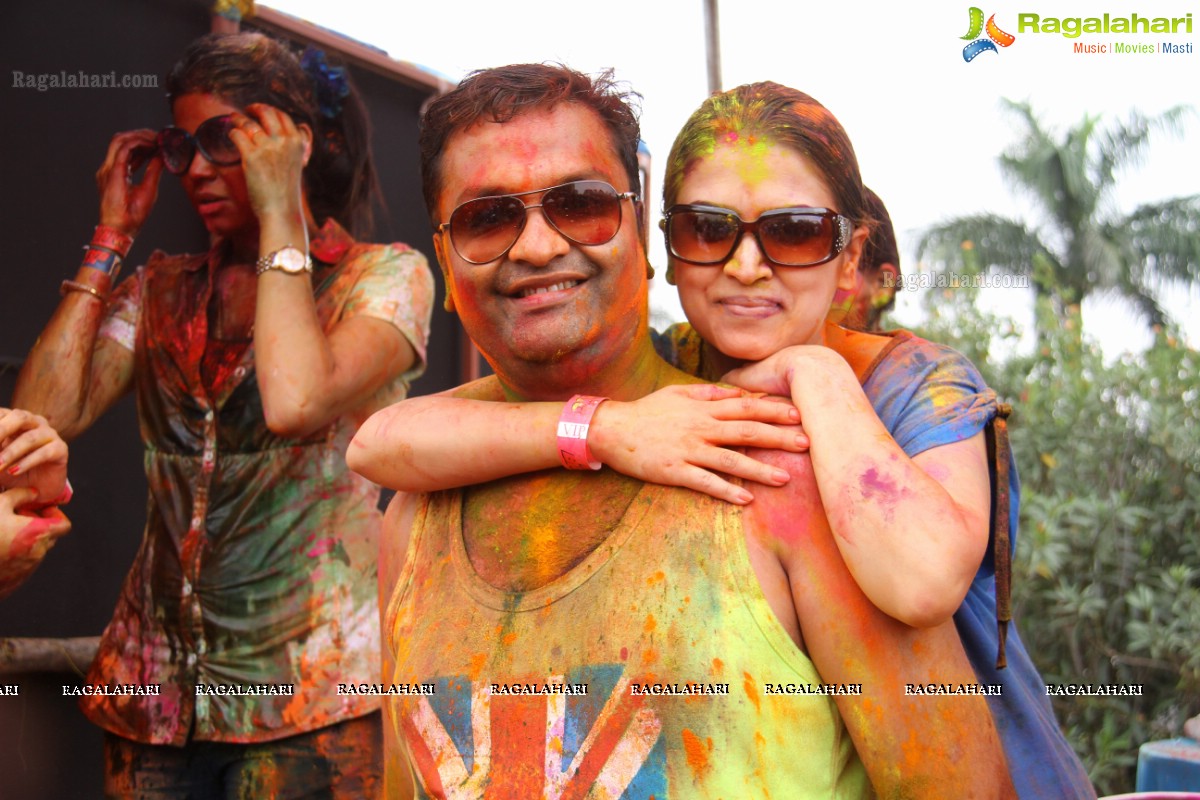 Bang Bang Holi Fest 2015 at Novotel, Hyderabad