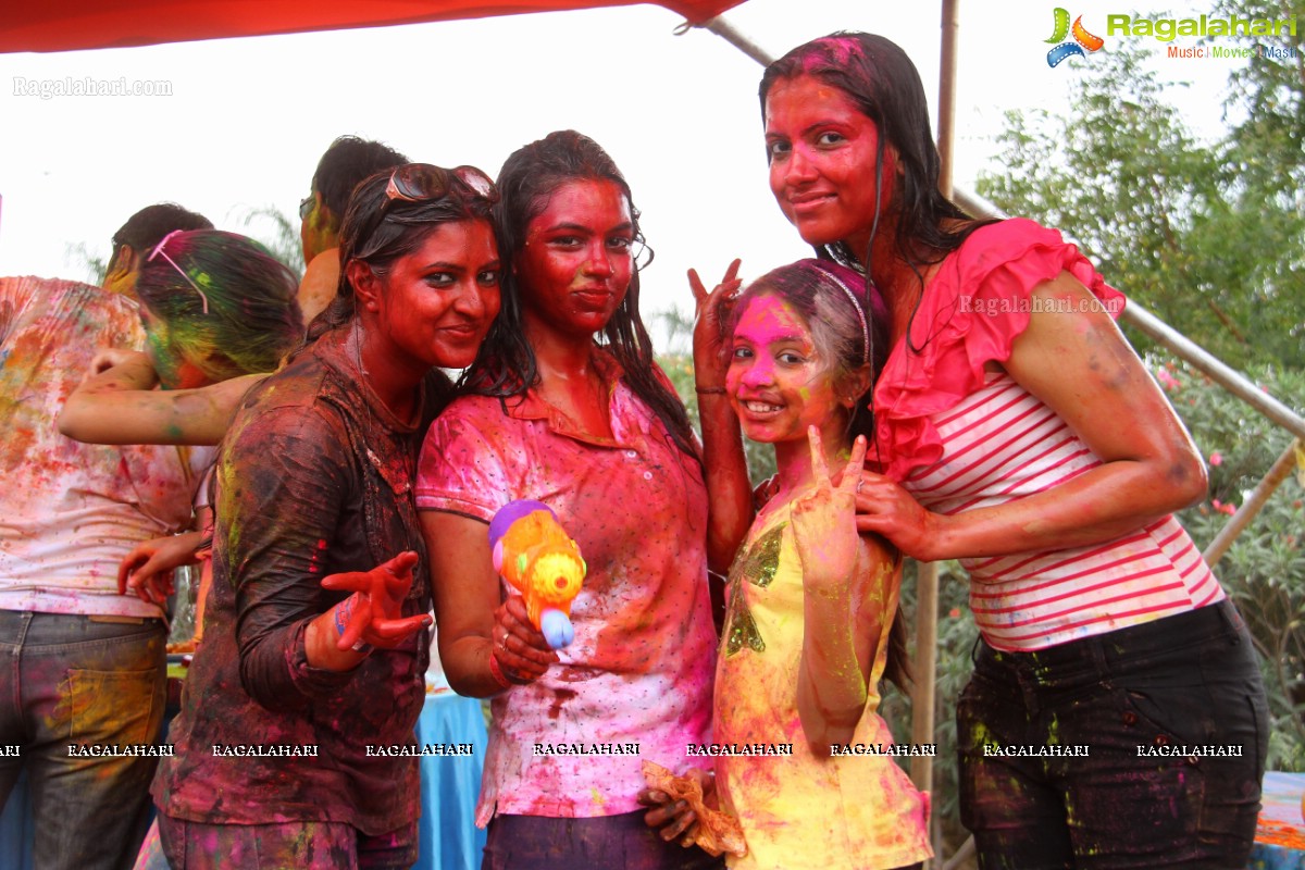 Bang Bang Holi Fest 2015 at Novotel, Hyderabad