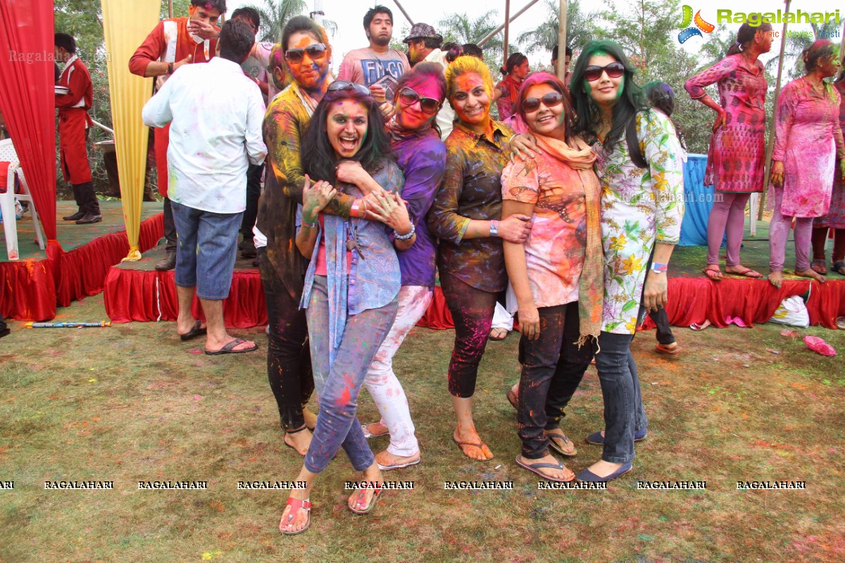 Bang Bang Holi Fest 2015 at Novotel, Hyderabad