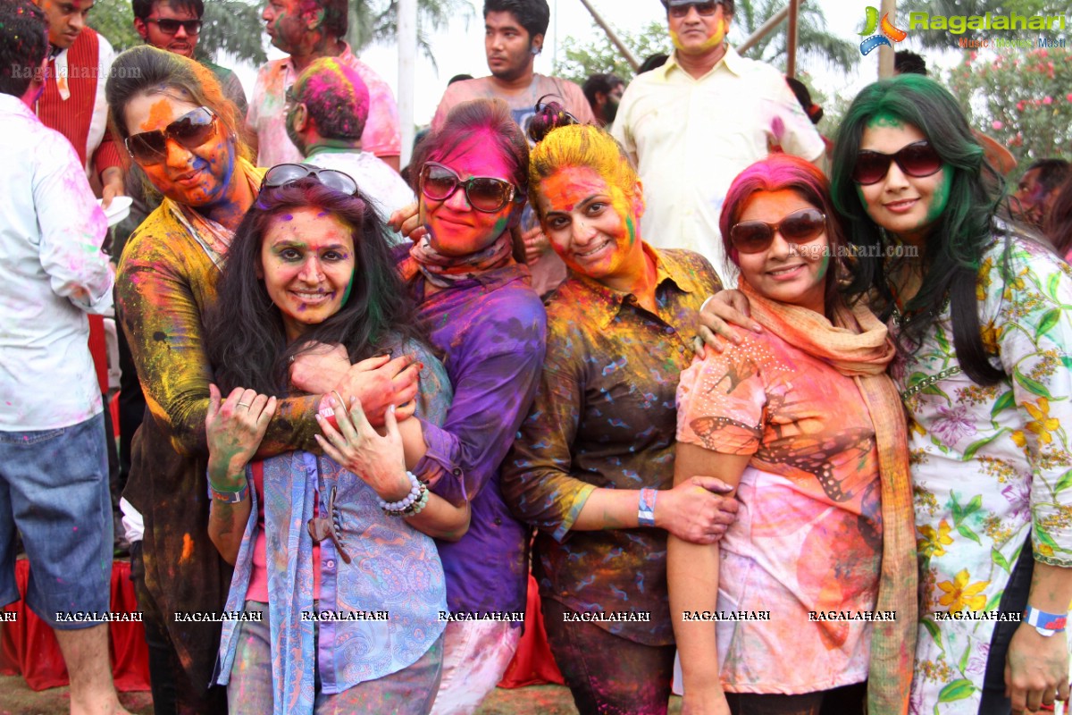 Bang Bang Holi Fest 2015 at Novotel, Hyderabad