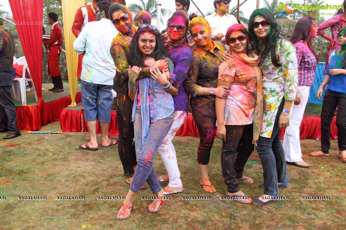 Bang Bang Holi Fest 2015 at Novotel, Hyderabad