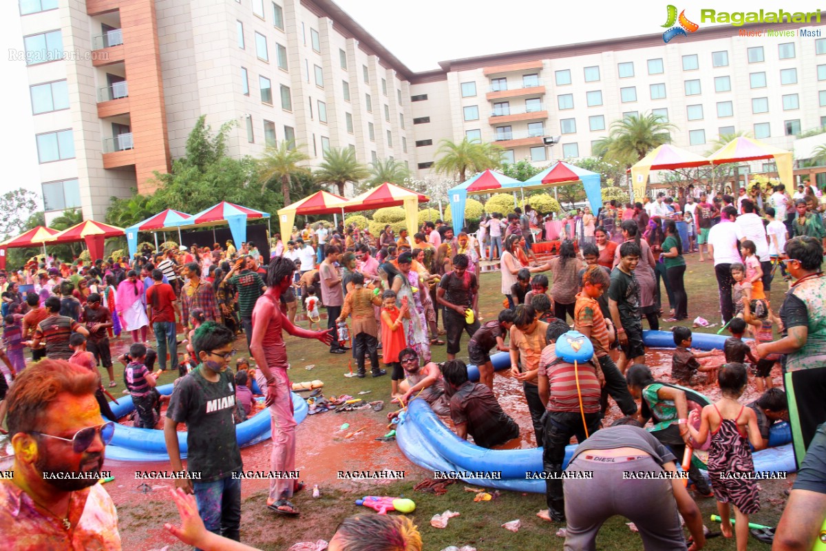 Bang Bang Holi Fest 2015 at Novotel, Hyderabad