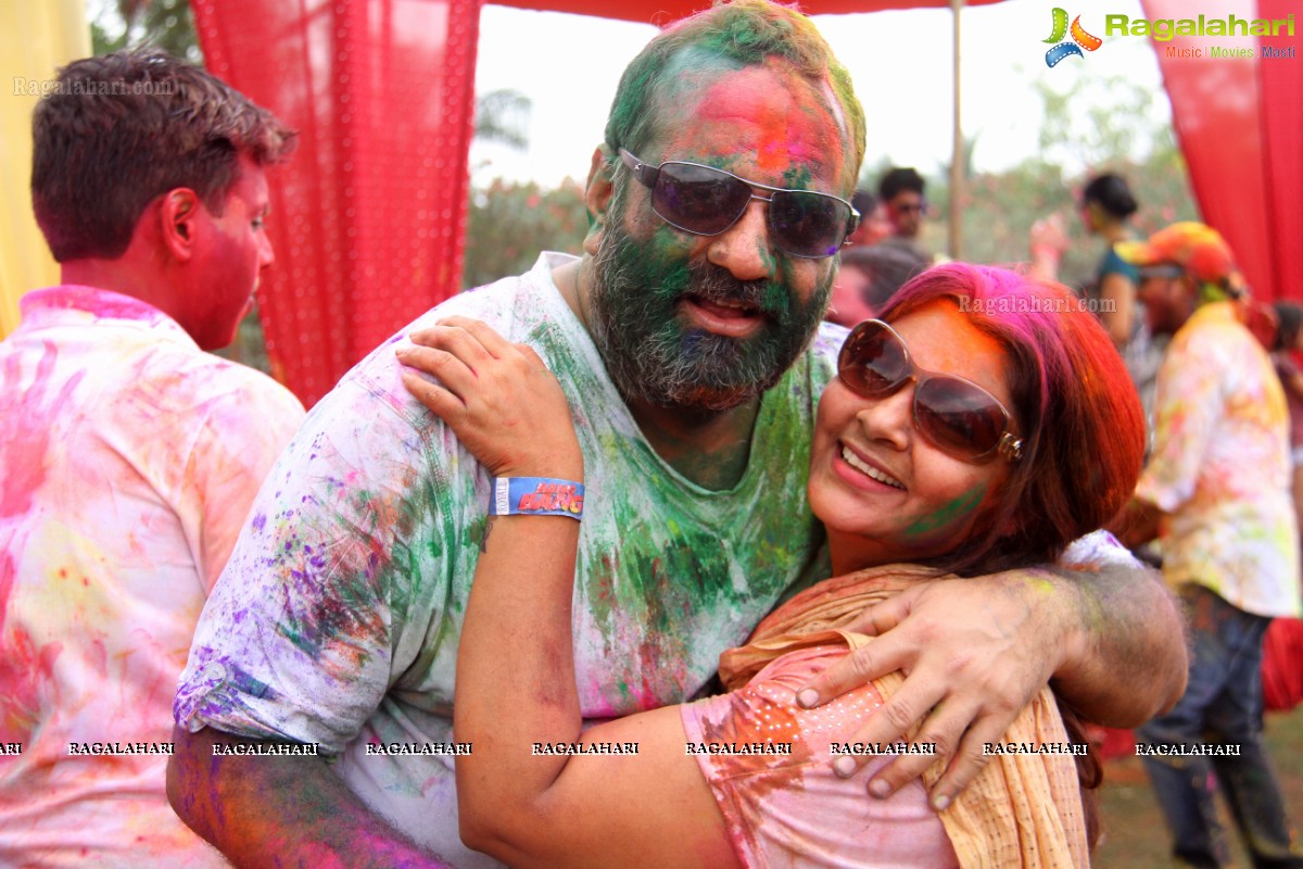 Bang Bang Holi Fest 2015 at Novotel, Hyderabad