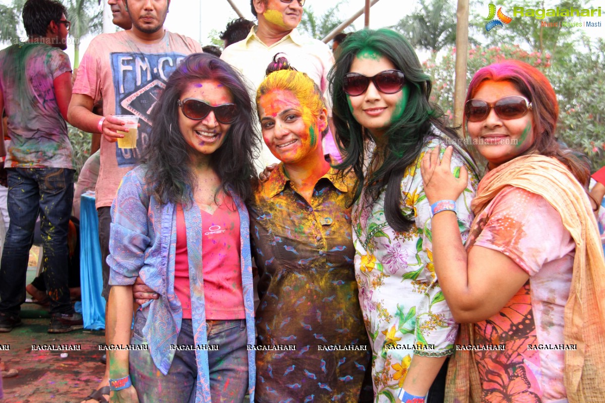 Bang Bang Holi Fest 2015 at Novotel, Hyderabad