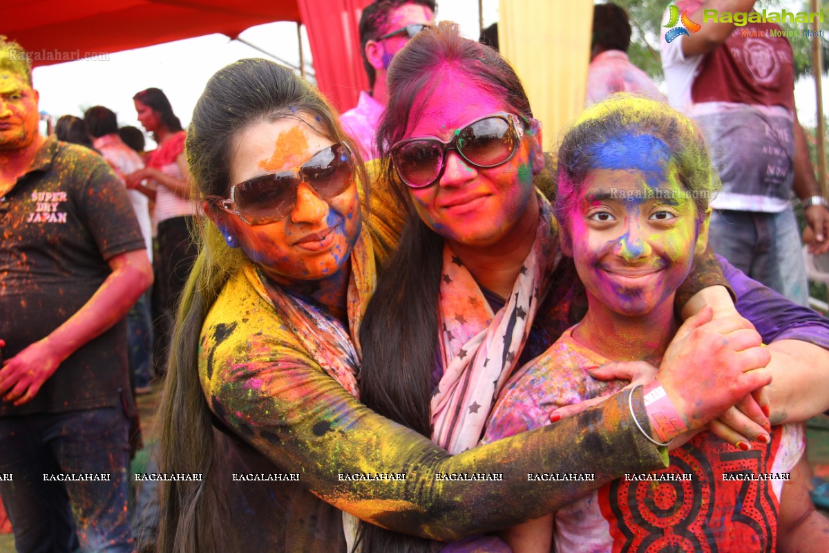 Bang Bang Holi Fest 2015 at Novotel, Hyderabad