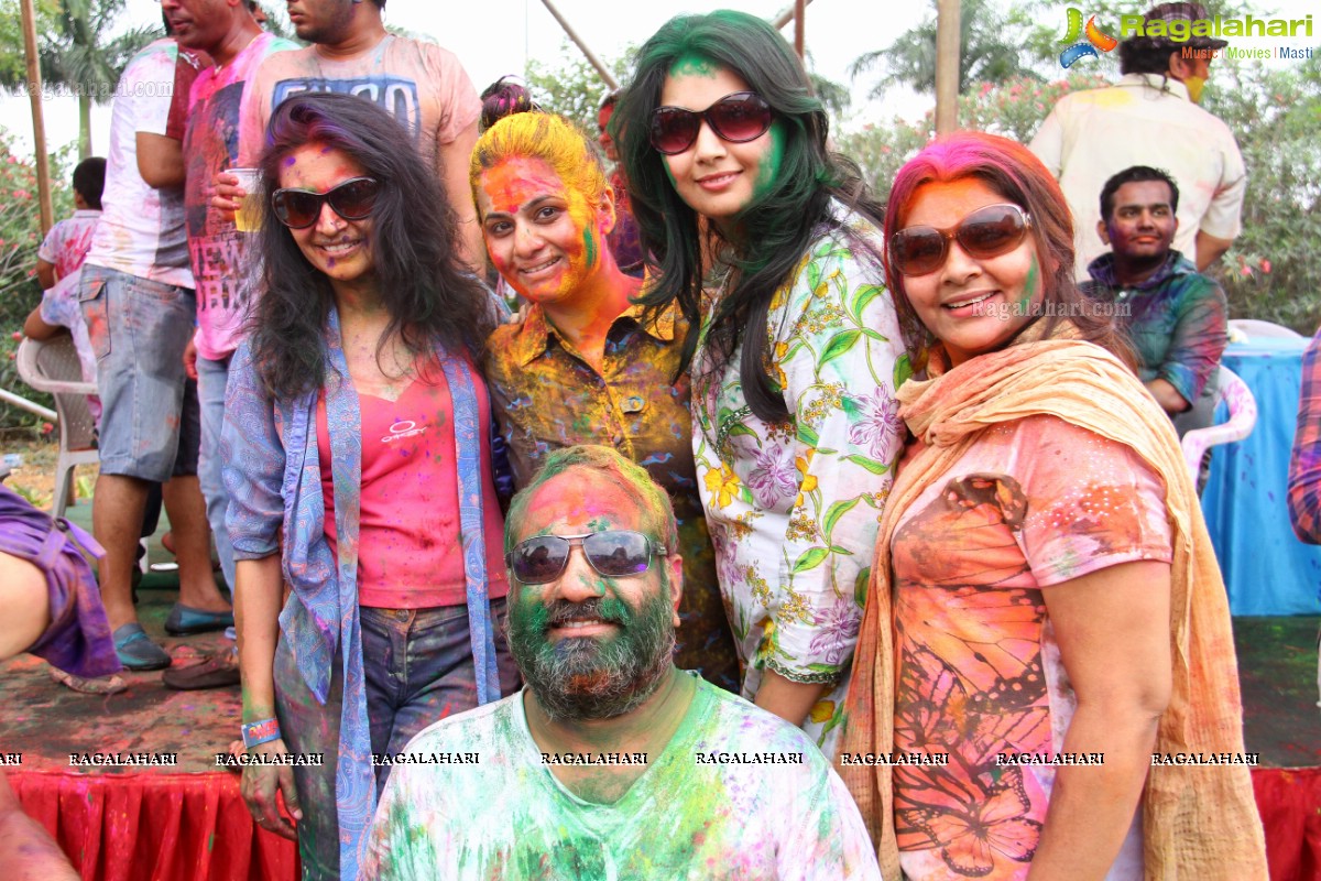 Bang Bang Holi Fest 2015 at Novotel, Hyderabad