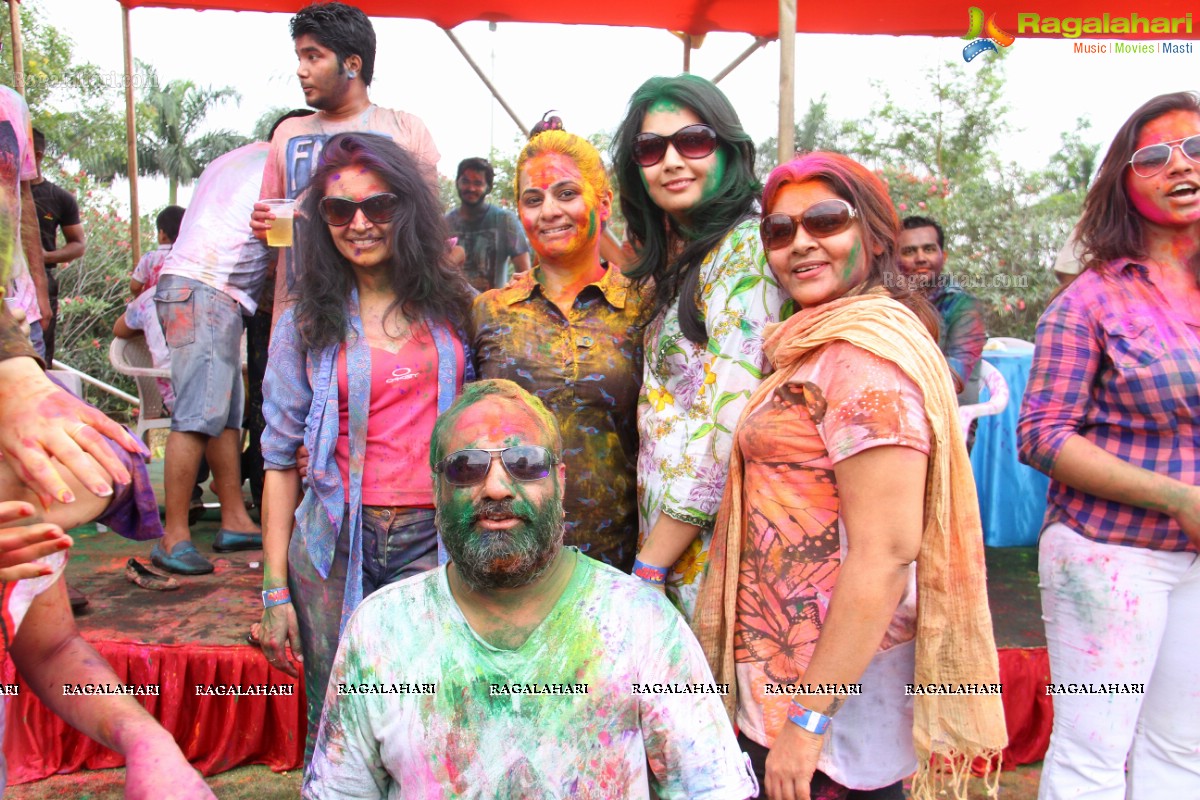 Bang Bang Holi Fest 2015 at Novotel, Hyderabad