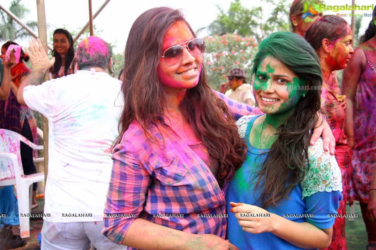 Bang Bang Holi Fest 2015 at Novotel, Hyderabad